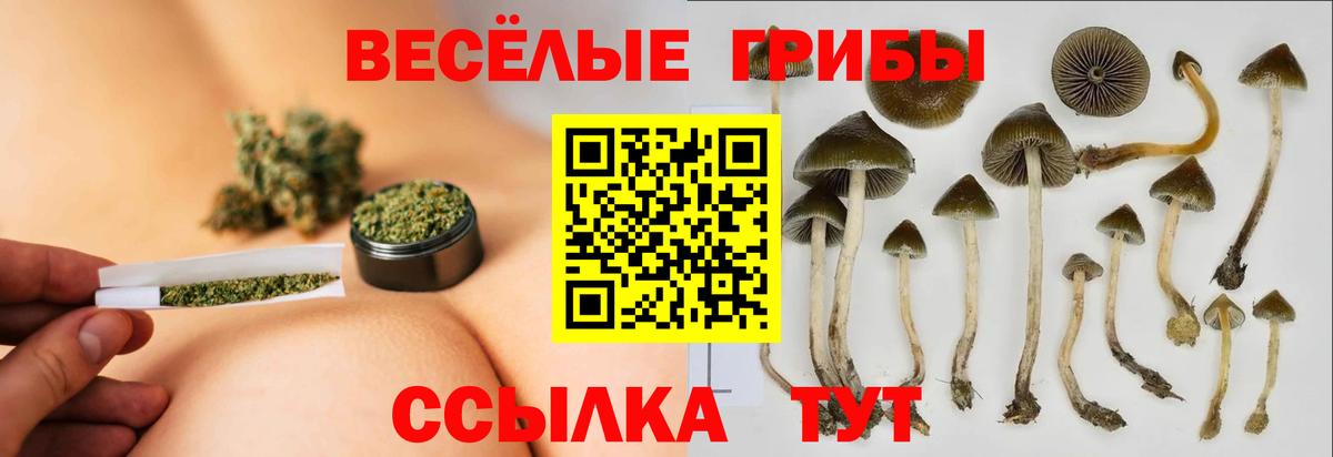 Псилоцибиновые грибы MAGIC MUSHROOMS Москва